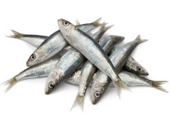 Top 5 Mediterranean Foods5-sardines